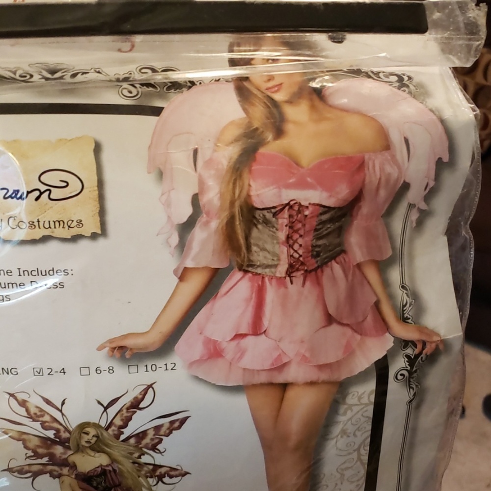 Rose Fairy costume